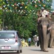 National Chitwan Park