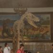 Szkielet tyranozaura (muzeum Ułan Bator)
