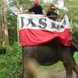 Jasło w National Chitwan Park