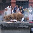 Obrządek palenia zwłok Pashupatinat (Kathmandu)