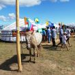 Naadam - Jurtowe Miasteczko powstało 10 km od Kyzył